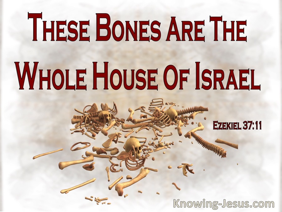 Ezekiel 37:11 These Bones Are The Whole House Of Israel (beige)